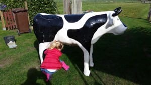 Wettmelken mieten bei Carpe Diem Events aus Kreis Heinsberg, NRW.