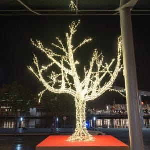 Weihnachtsdeko Beleuchteter Baum Cumberland zu Mieten bei Carpe Diem Events aus NRW.