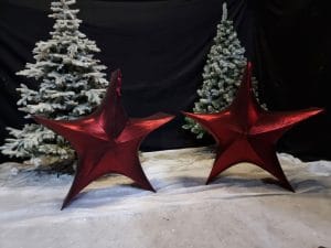großer Weihnachtsstern zu mieten bei Carpe Diem Events aus NRW.