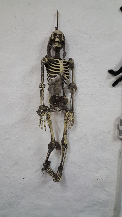 Halloween Skelet
