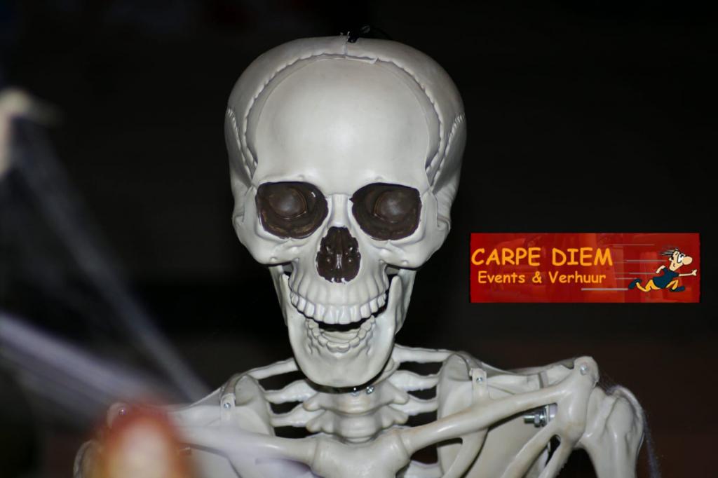 Skelett Deko für Halloween Deko oder Piraten Deko, mieten bei Carpe Diem Events