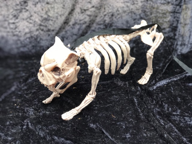 Halloween deko Skeletten hund Slayer zu Mieten bei Carpe Diem Events