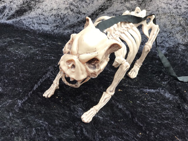 Halloween deko Skeletten hund Slayer zu Mieten bei Carpe Diem Events